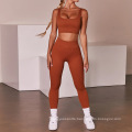 Trendy Ribbed Two Piece Set High Waisted Workout Clothing Seamless Activewear Tight Outfit Brazil Women Sportswear